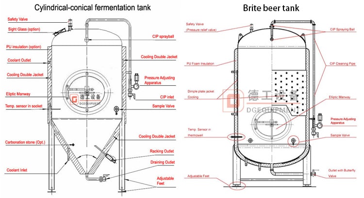 FV 和 BBT 分鐘