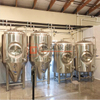 Cylindrically-conical fermenters CCT conical tanks conical beer fermentation tanks 1000L-5000L medium-scale