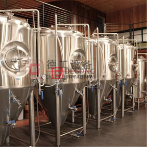 SUS 304 sanitary 10BBL Premium quality beer fermentation tank/unitanks/brewery fermeters hot sale in USA