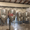 SUS 304 sanitary 10BBL Premium quality beer fermentation tank/unitanks/brewery fermeters hot sale in USA
