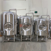 Stainless Steel Conical Fermenters bright tanks 7bbl 10bbl 20bbl 30bbl size