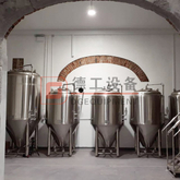 Cylindrical-conical fermentation tanks unitanks Available volume 1000L superb construction